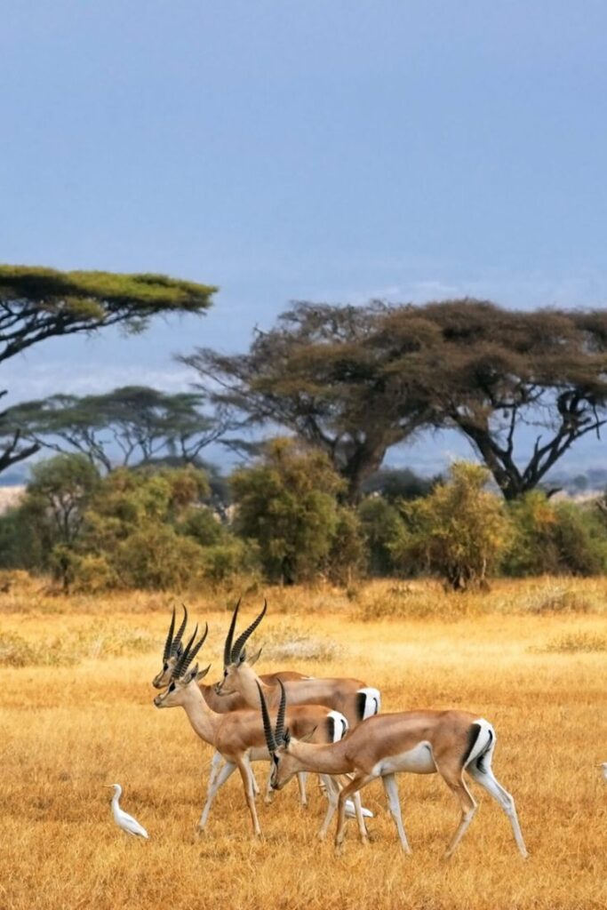 2586889d03a4e6ebc93141fb030b578a