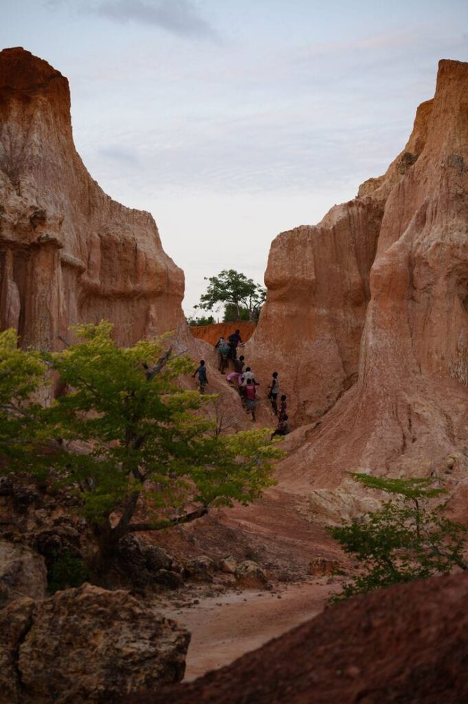 WhatsApp Image 2025 02 18 at 17.08.06 4544b560