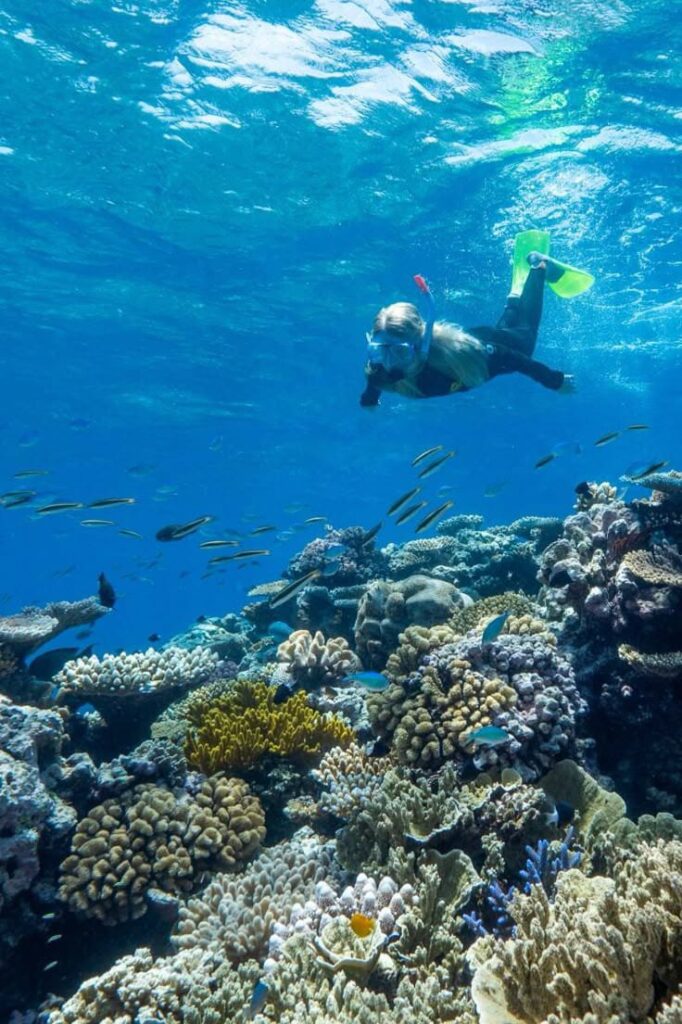 WhatsApp Image 2025 02 18 at 18.47.35 b44382ee