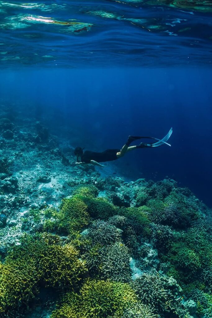 WhatsApp Image 2025 02 18 at 18.47.36 64a2e69d